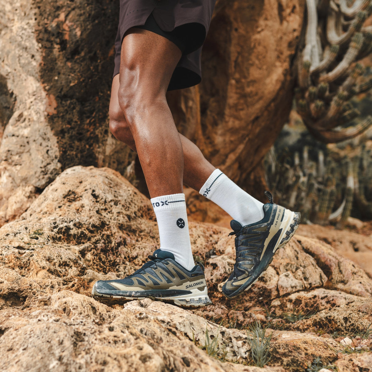 Merino Hiking Ankle Socks Men | White / Navy