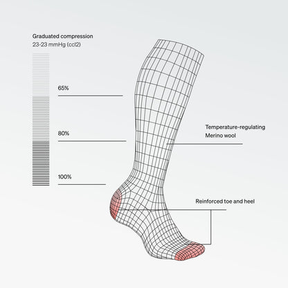 Merino Everyday Socks Women | Bordeaux / Red