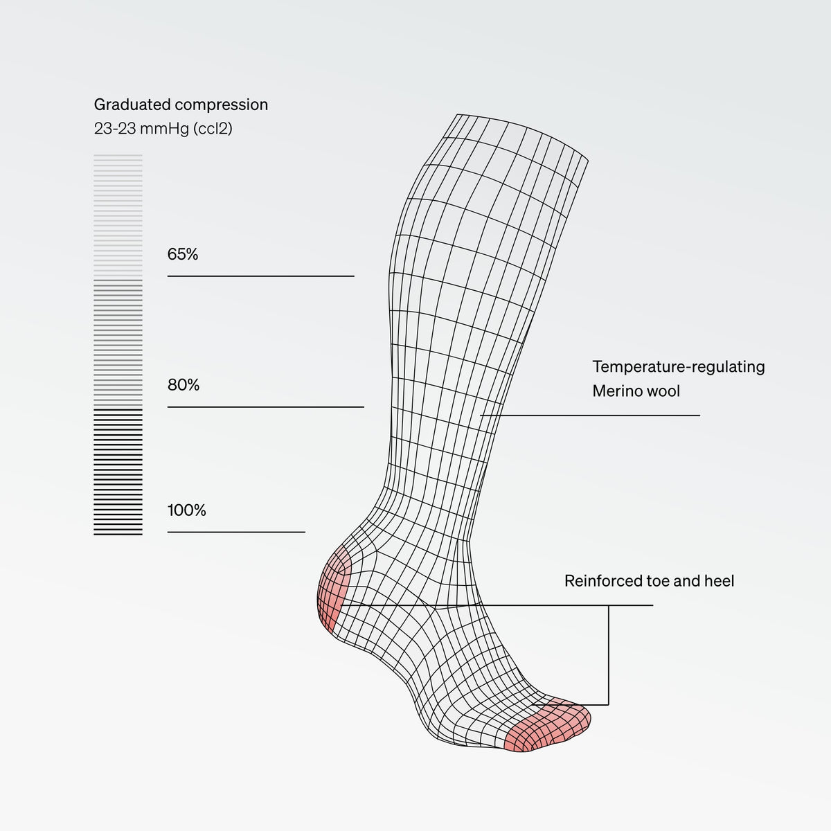 Merino Everyday Socks Men | Bordeaux / Red